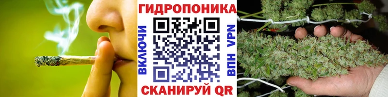 Бошки Шишки AK-47  Печоры 